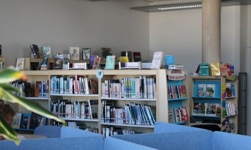6f-Lib-IMG_1540-28pc